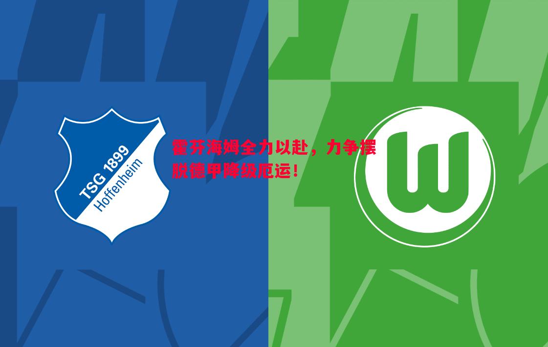 霍芬海姆全力以赴，力争摆脱德甲降级厄运！