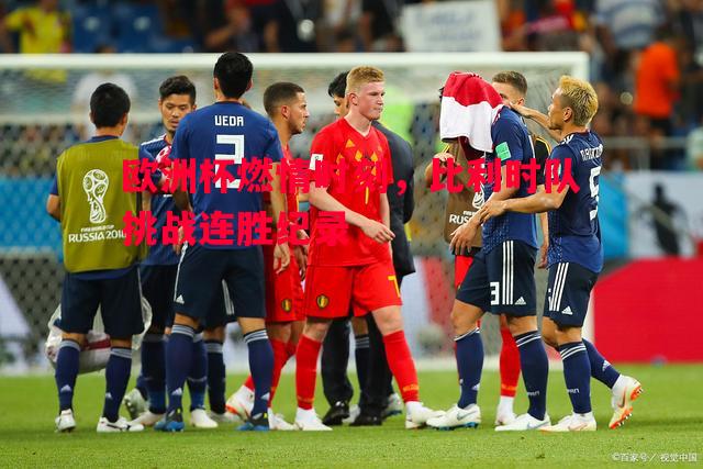 欧洲杯燃情时刻，比利时队挑战连胜纪录