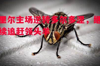 里尔主场逆转多尔多涅，继续追赶领头羊